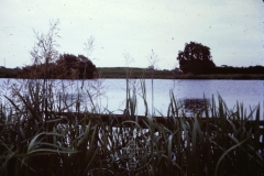 WHAGS0383