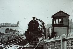 WHAGS0386