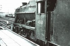 WHAGS0389