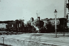 WHAGS0391