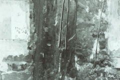 WHAGS0423