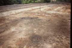 WHAGS0462