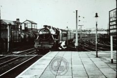WHAGS0469