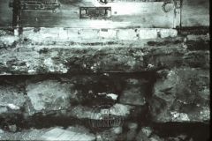 WHAGS0484