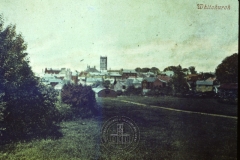 WHAGS0491