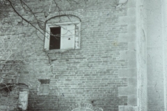 WHAGS0541