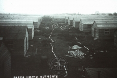 WHAGS0591