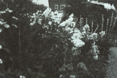 WHAGS0680