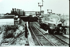 WHAGS0162